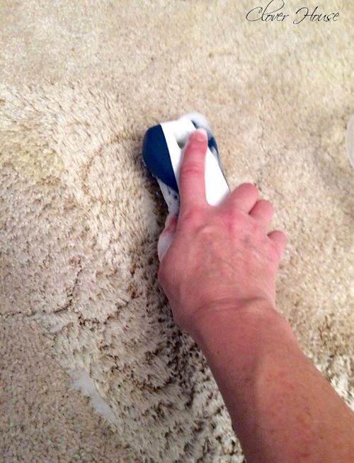 Pets are awesome, but it's so frustrating when they have accidents.  Luckily, hydrogen peroxide and liquid dishwasher detergent can also <a target="_blank" href="http://ourcloverhouse.blogspot.com/2016/03/easy-way-to-remove-pet-stains.html">remove those stains</a>.