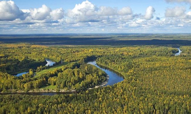 Beautiful, right? Except that the warming climate has caused the region's thick stores of permafrost to thaw. While this is bad news in and of itself, this phenomenon has brought back one seriously deadly strain of bacteria.