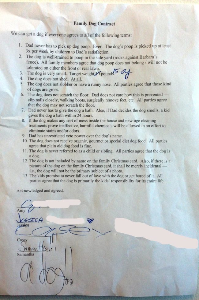 "The dog does not slobber or have a runny nose. All parties agree that those kinds of dogs are gross."