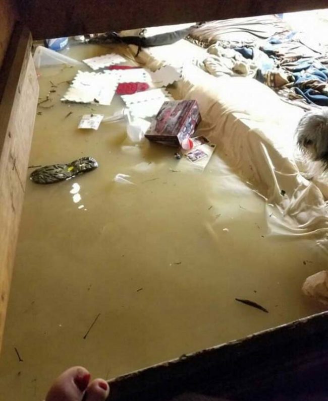 The floodwater came so hard and fast that many were left unprepared. Below is a photo posted to Facebook of one resident who was trapped in their attic due to the rising waters. They nearly drowned as they did not have the tools on hand to open the roof. Luckily, help arrived.
