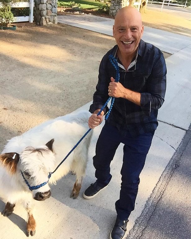 You never know who you'll meet on an evening stroll. He recently made friends with Howie Mandel!