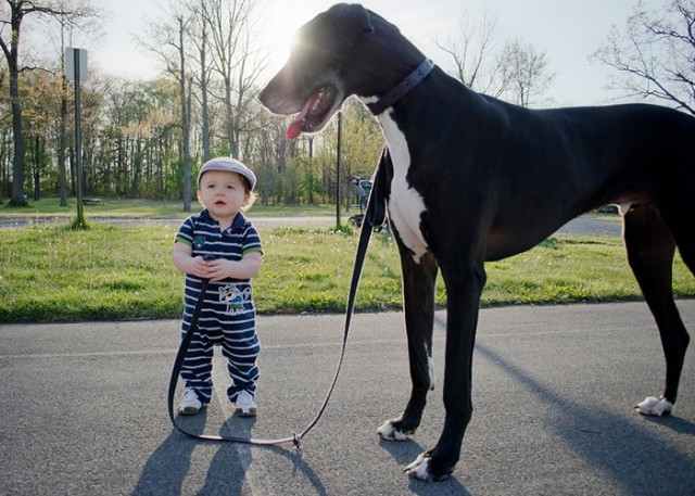 They are always up for an adventure with their little humans.