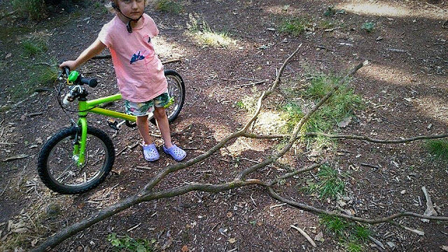 When her husband and daughter found a fallen tree branch in the woods, they knew it was perfect.