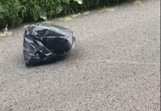 Unsure if the bag was moving because of wind or something more, she decided to pull over and investigate.