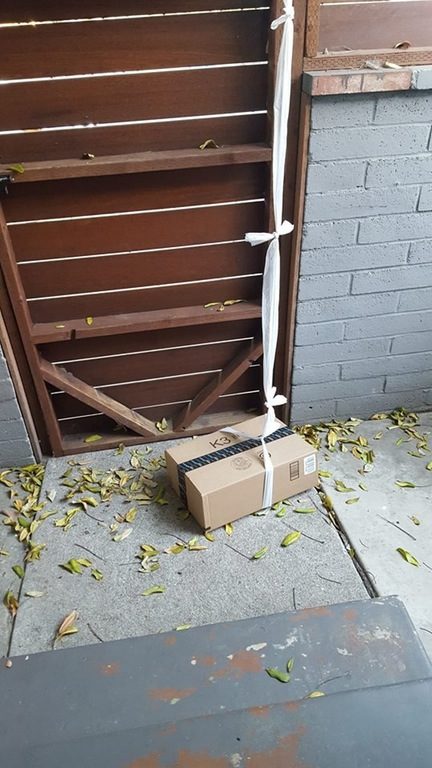 They definitely deserve a tip for getting this package inside the gate with some help from Rapunzel.