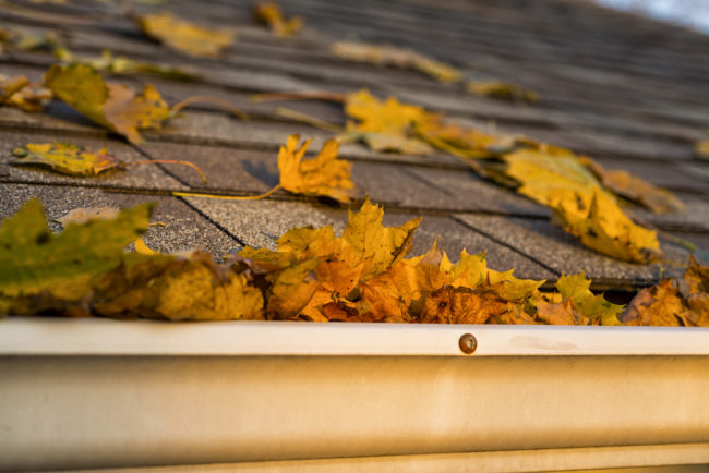Avoid future drainage problems by clearing out leaves and loose debris caught in your gutters.