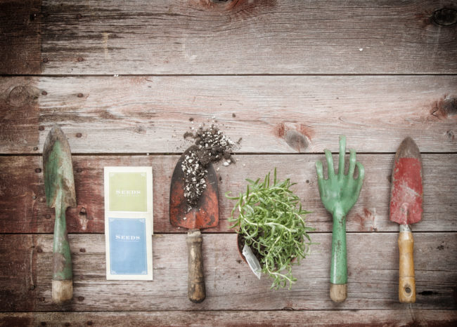 Clean your gardening tools and store them away until next spring.