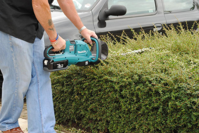 Spruce up your hedges and shrubs by giving them a fall trimming.
