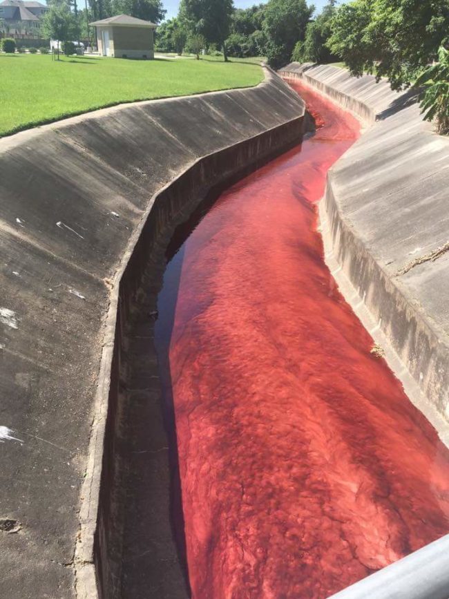 It looks like a river of blood, but it's really just chemical runoff.