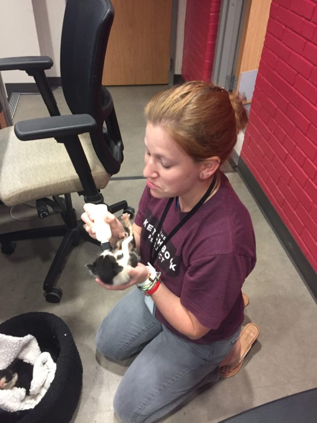 But when a volunteer from one of the shelters offered to foster them, she had to say a bittersweet goodbye to her new friends.