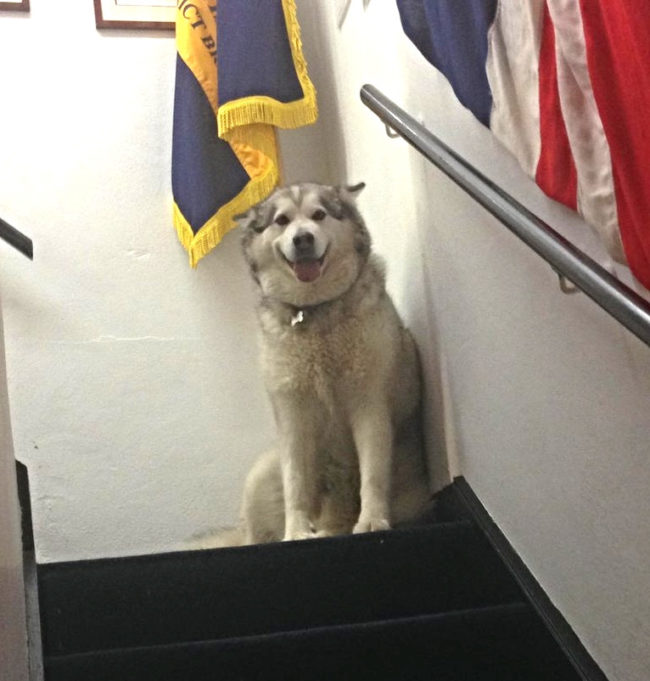 "I have a smile on my face now, but make me mad, and you'll think twice about coming up these stairs."