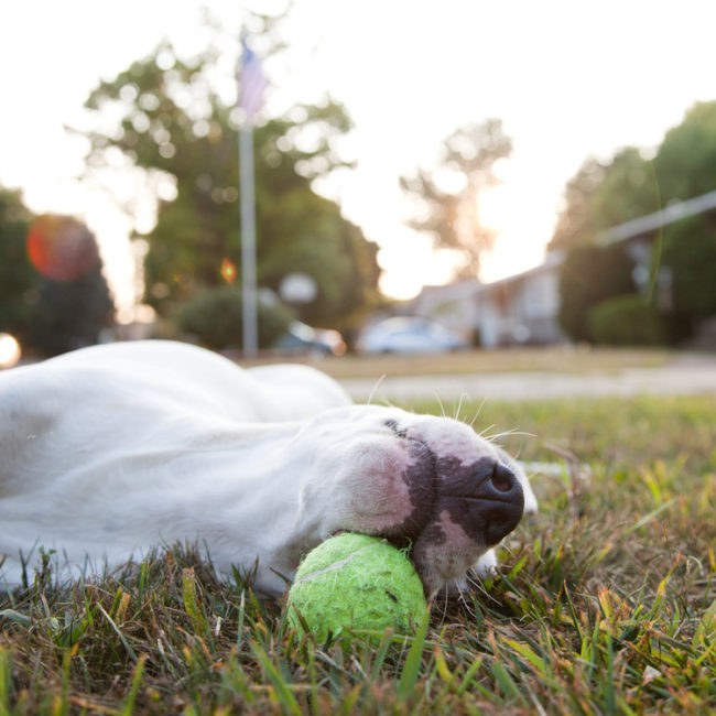 "Wake me up when it's summer again."