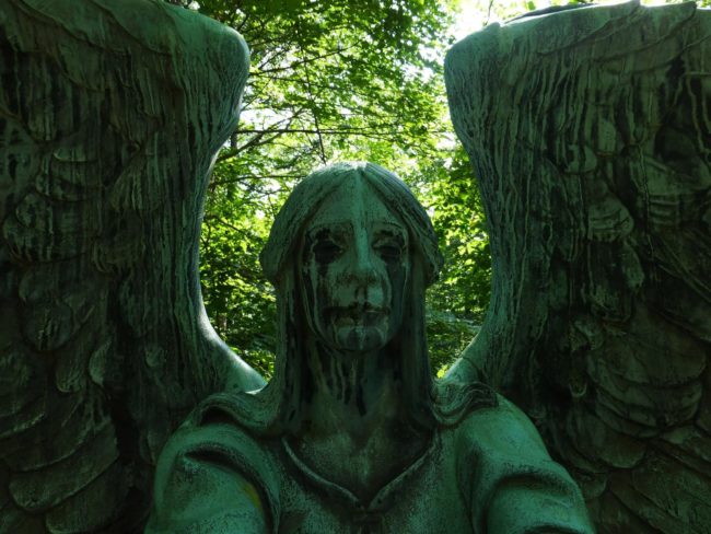 This weeping angel is definitely going to haunt me.