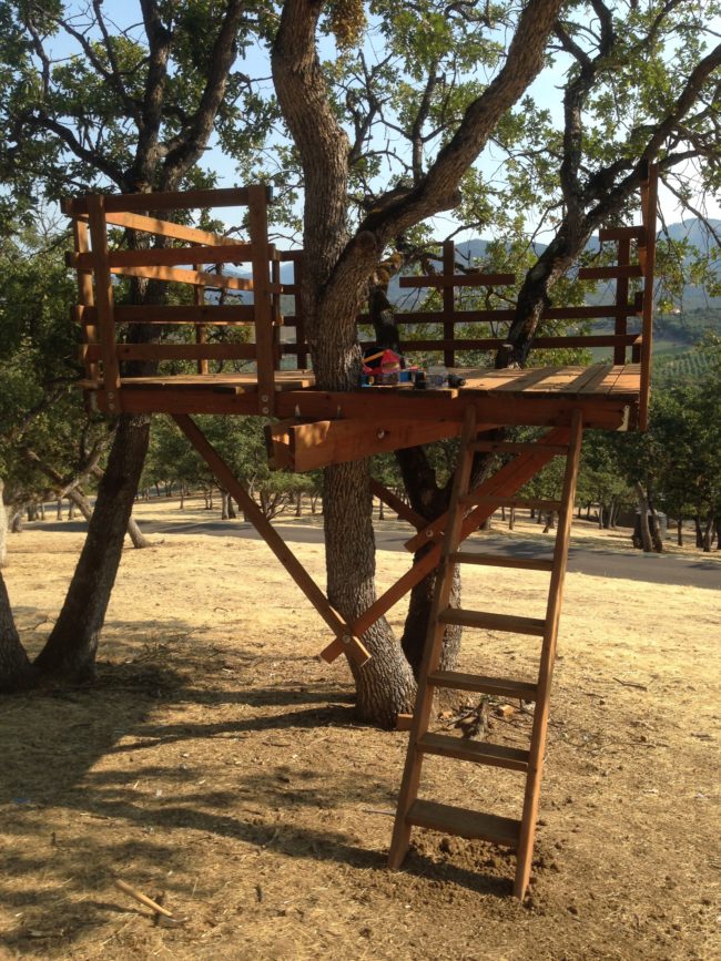 Cfinke wanted to space to be safe for his kids. With the railing in place, he built a ladder so they could begin exploring their tree house!