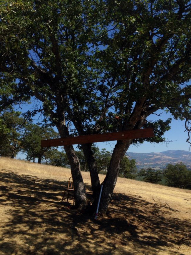 After drilling some big holes in the tree, cfinke installed the first beam.