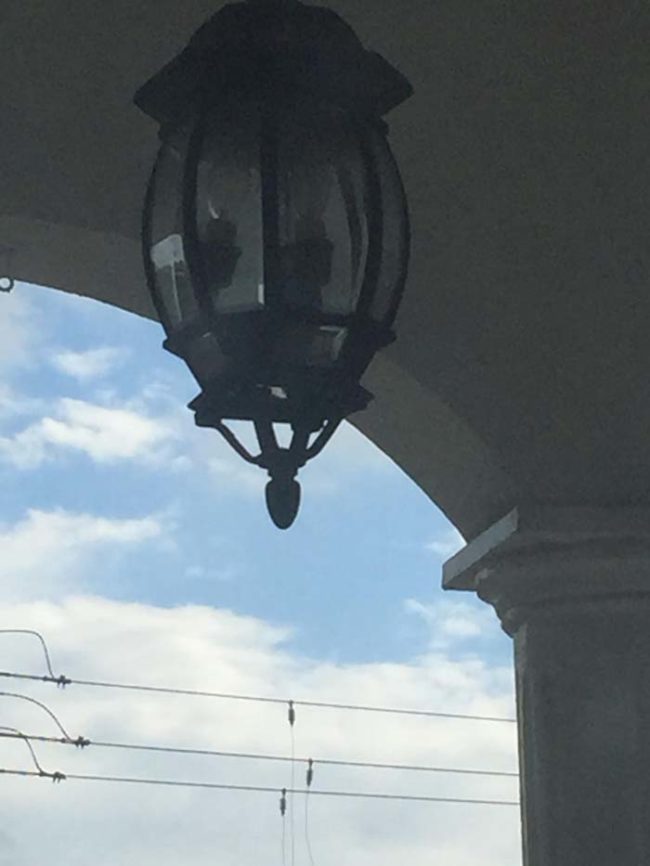With that being said, the Redditor said that this unused hanging light is apparently where the wasps decided to build their home.