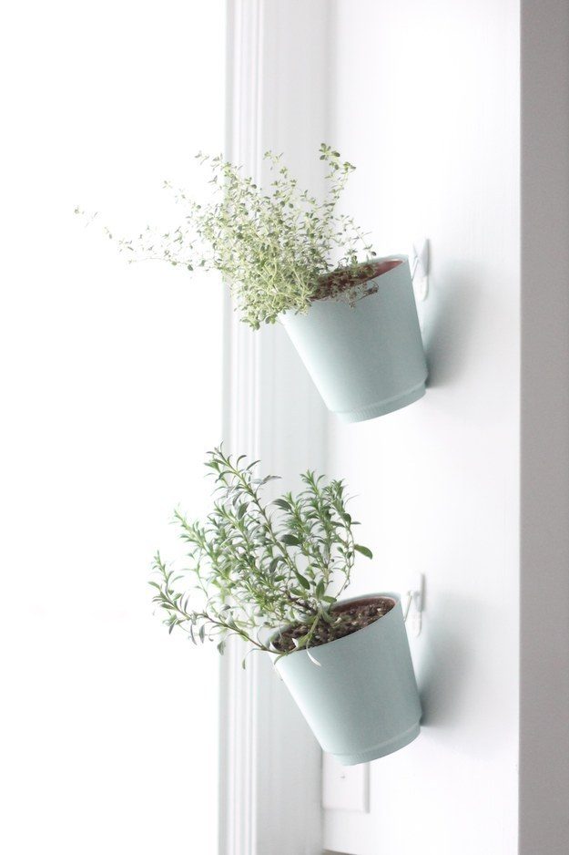 Show off your green thumb by creating your own hanging pots that you can use inside and outside.