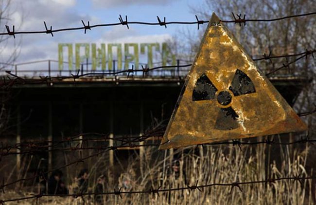 Kalmykov wasted no time getting in touch with authorities to figure out what had happened. He fears that the radioactive wood could end up being part of someone's home.