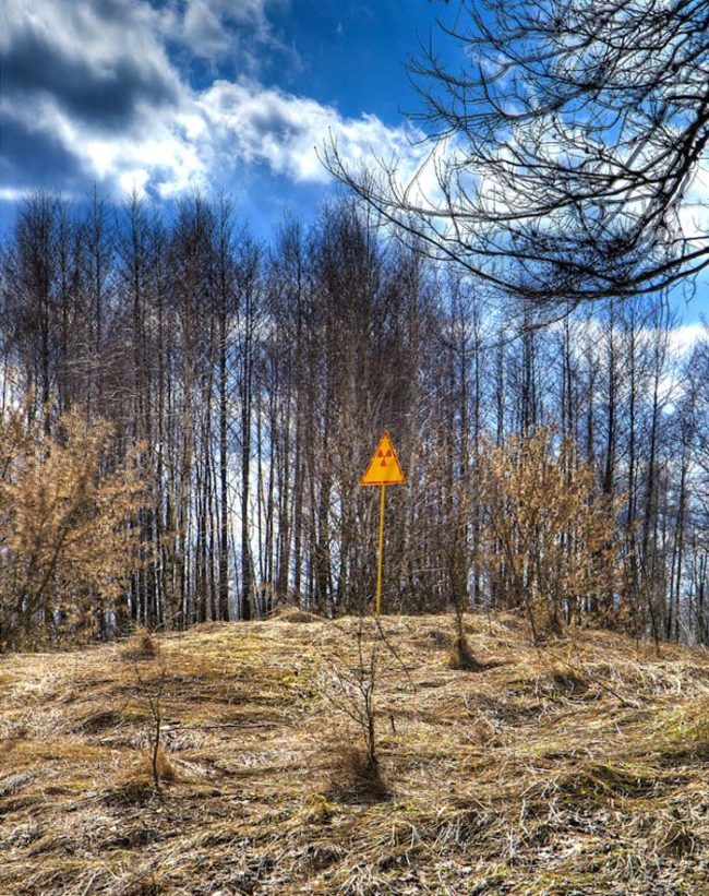 Recently, a group of Ukrainian urban explorers who frequent the abandoned city found a whole section of deforested property. "The first time we saw [the forest], and the second time it wasn't there," said Artur Kalmykov, the group's leader.