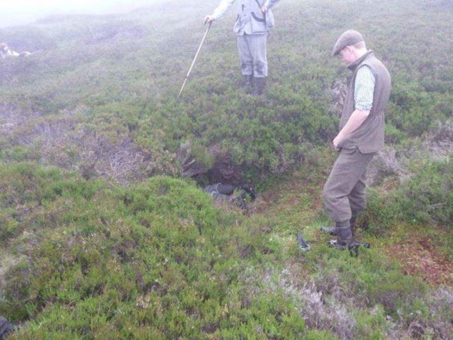 As he was searching, head gamekeeper Garry MacLennan heard a noise coming from a hole located on a hill. He decided it was worth a second look.