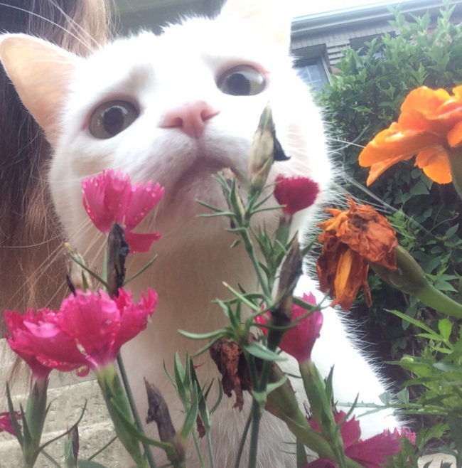 "Mom, aren't the flowers supposed to be alive? You're terrible at this."
