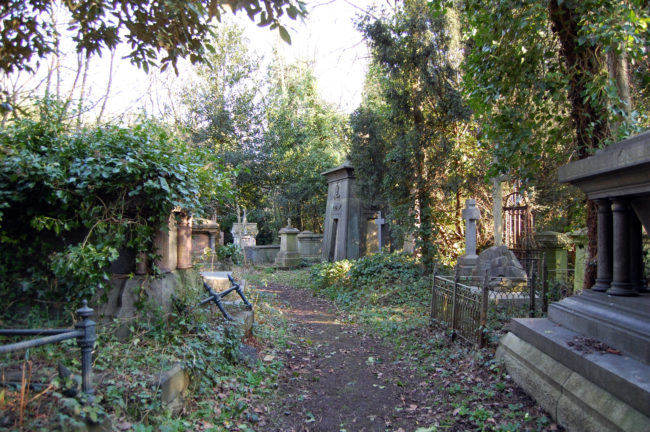 Many visitors claimed to have seen the <a target="_blank" href="https://en.wikipedia.org/wiki/Highgate_Vampire">Highgate Vampire</a>, a tall figure with a terrifying face that inspired just as much fear as the legendary creature did.