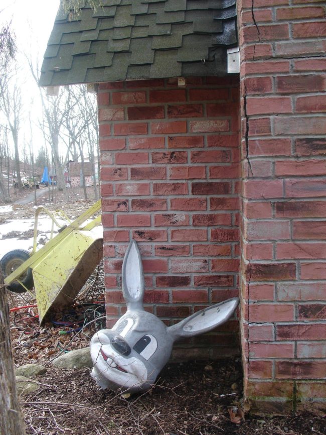Just a huge rabbit head, nothing to see here.