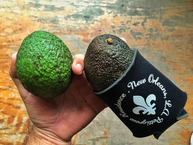 Quickly ripen an avocado by storing it in a koozie overnight.