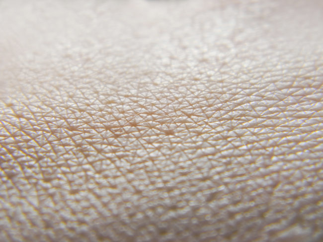 Human skin is made up of several layers of collagen, and these layers serve as padding against blunt-force trauma.