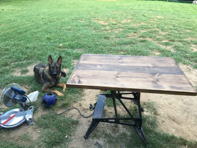 He began by applying a dark walnut stain to a pine tabletop.