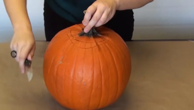 Then, carve out the the traced area of the pumpkin.