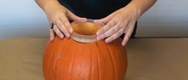 Insert the plastic container into the carved hole. 
