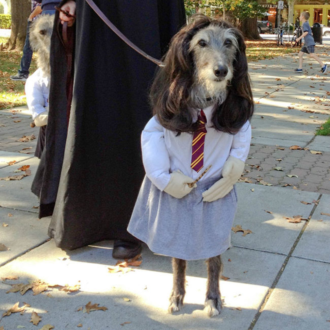 She can't wait for the Halloween feast at Dogwarts.