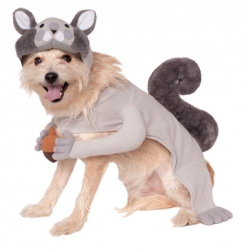 Now your dog can just chase himself around when you yell, "<a href="https://www.amazon.com/Rubies-Costume-Company-Squirrel-Small/dp/B00JSMVRDU/ref=sr_1_26?ie=UTF8&amp;qid=1475506314&amp;sr=8-26&amp;keywords=taco%2Bcat%2Bcostume&amp;th=1?_encoding=UTF8&amp;tag=vira0d-20%20" target="_blank">Squirrel</a>!"