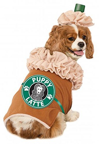 Dress your canine companion up as your favorite fall drink: a pup-kin spice <a href="https://www.amazon.com/Rubies-Iced-Coffee-Costume-Small/dp/B00ZHS62Z2/ref=pd_sbs_199_3?ie=UTF8&amp;psc=1&amp;refRID=AGW4XNC5GBJFMJAGH5WA?_encoding=UTF8&amp;tag=vira0d-20%20" target="_blank">latte</a>!