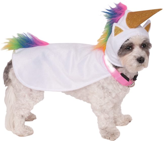 Bring out your pup's inner <a href="https://www.amazon.com/Rubies-Costume-Company-Unicorn-Light-Up/dp/B00JSMVZ9G/ref=sr_1_7?ie=UTF8&amp;qid=1475506919&amp;sr=8-7&amp;keywords=taco%2Bcat%2Bcostume&amp;th=1?_encoding=UTF8&amp;tag=vira0d-20" target="_blank">unicorn</a> with one seriously magical getup.