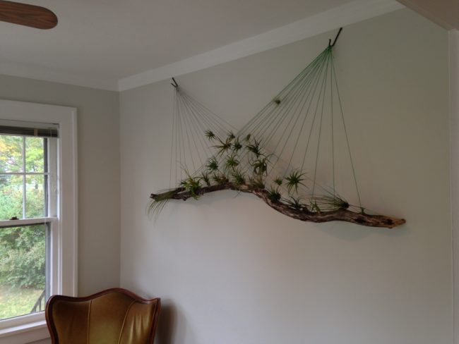 Isn't this an awesome way to bring the outdoors in?