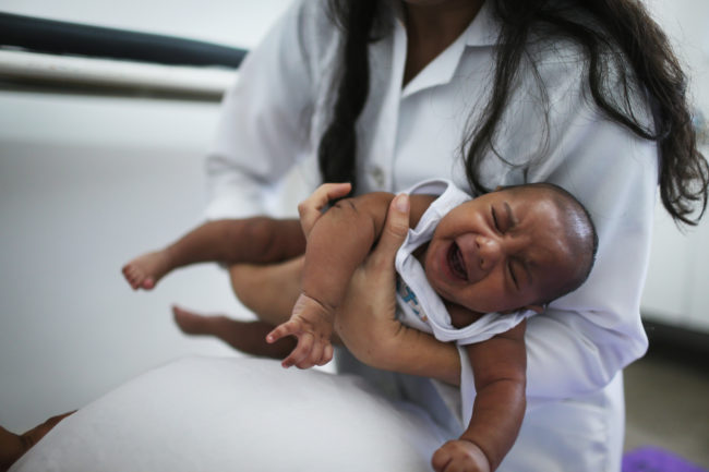 Since the initial Zika outbreak in Brazil in 2015, researchers have discovered that babies infected by Zika are more likely to be born with  microcephaly and other fetal brain defects.
