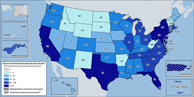The Centers for Disease Control and Prevention has put together a map with the total reported Zika virus infections by states. Florida, California, and New York have seen the highest number of reported cases.
