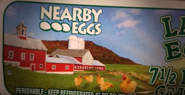 Grocery stores like Costco even label their eggs with pictures of happy, thriving hens. 