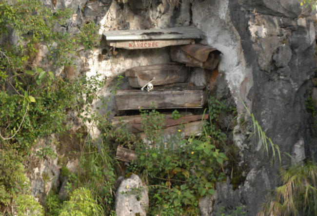 To fit the small coffins, the bones of the dead are broken and the bodies are positioned in the fetal position. It is largely believed that the dead should spend the afterlife in the same position that they came into the world. 