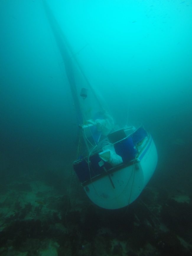 According to dcrystal127, "This ship went down 48 hours prior to me diving. From the surface I thought I had spotted the sandbar I wanted to be on. As I came down, I realized what it was."