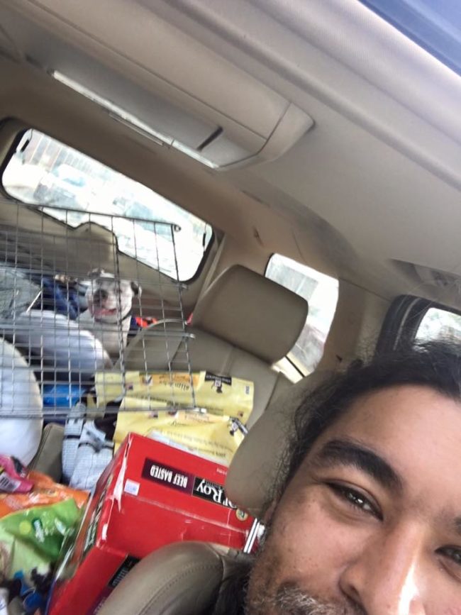 First things first, Boo needed to visit a vet. You can tell by that smile, he was already a much happier dog.