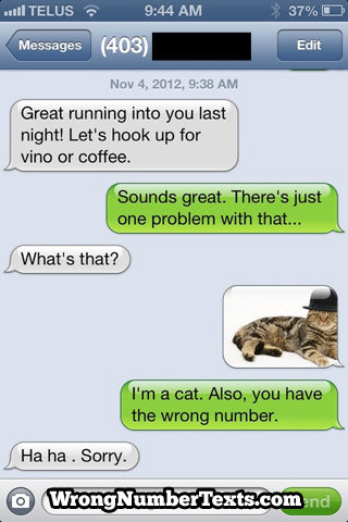 Humans aren't the only ones that get accidental texts.