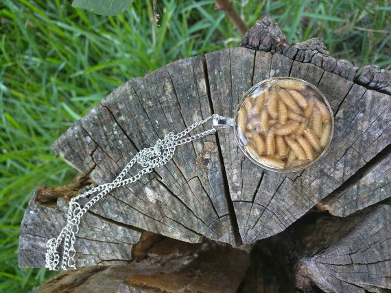 The maggots in this <a href="https://www.etsy.com/listing/466458582/real-maggot-necklace-taxidermy-oddity?ref=unav_listing-other" target="_blank">necklace</a> are real.
