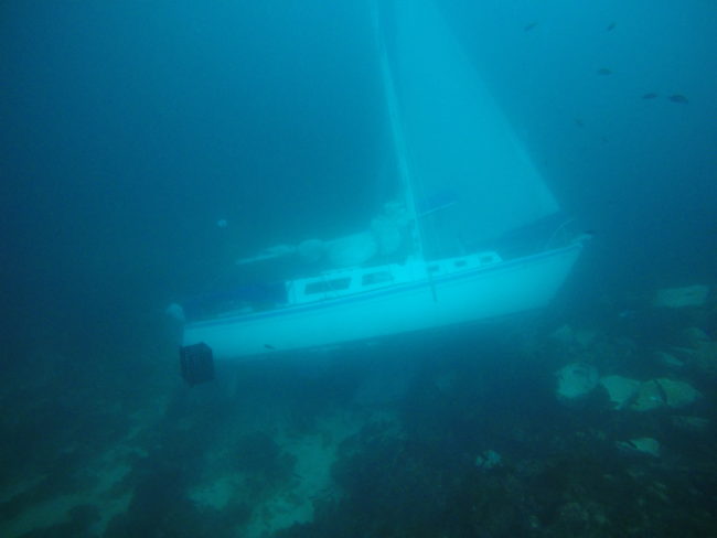Redditor <a href="https://www.reddit.com/r/scuba/comments/598vmb/i_was_the_first_person_to_dive_this_shipwreck/" target="_blank">dcrystal127</a> came across something remarkable while on their fiftieth dive: a shipwreck. It was bittersweet, because it's never good for a boat to sink, but it's an exciting prospect for a diver.