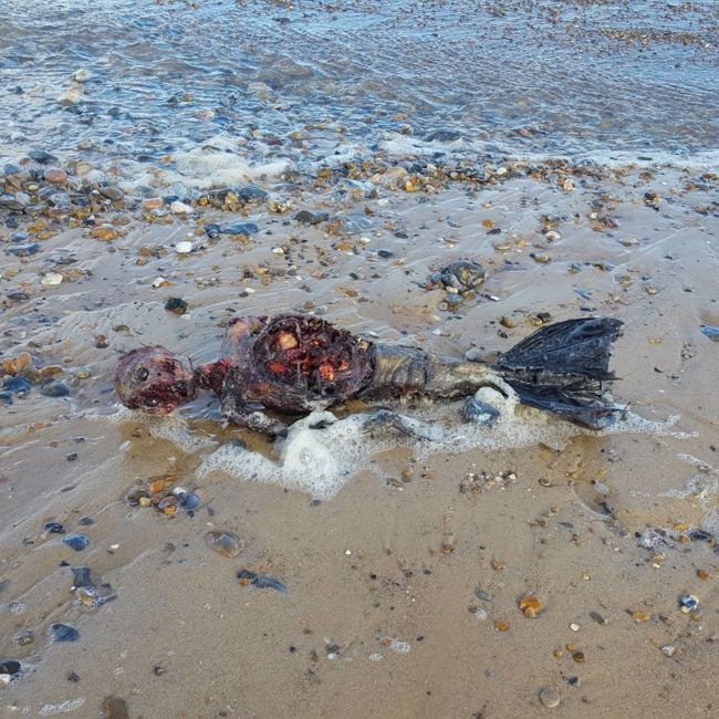 When Paul Jones and his friends took a trip to the beach in Great Yarmouth, Norfolk, they came across this astounding sight.