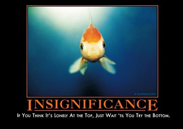 Excuse me while I go crawl under my covers and <a href="https://despair.com/collections/demotivators/products/insignificance" target="_blank">cry</a> myself to sleep.