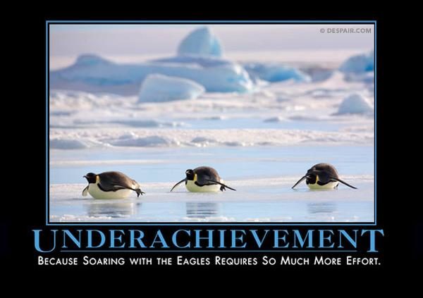 It's not like effort always <a href="https://despair.com/collections/demotivators/products/underachievement-penguin" target="_blank">pays off</a>, anyway.