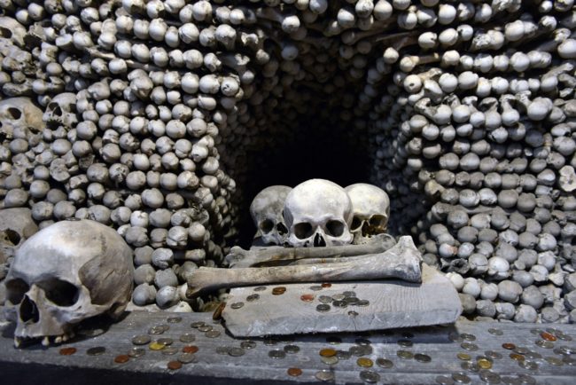 After he died, others continued his work. For the next 300 years, the bones kept piling up.